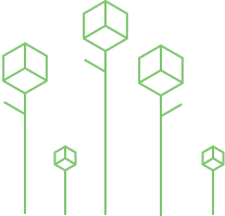fleurs de données